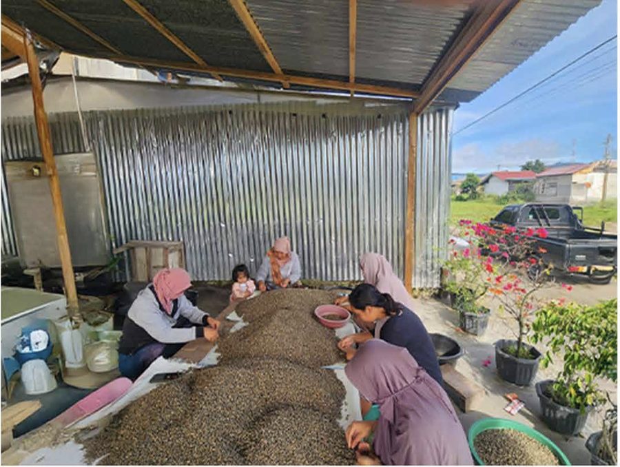 Sortir bean manual