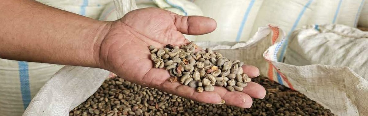 Kopi Raw Material