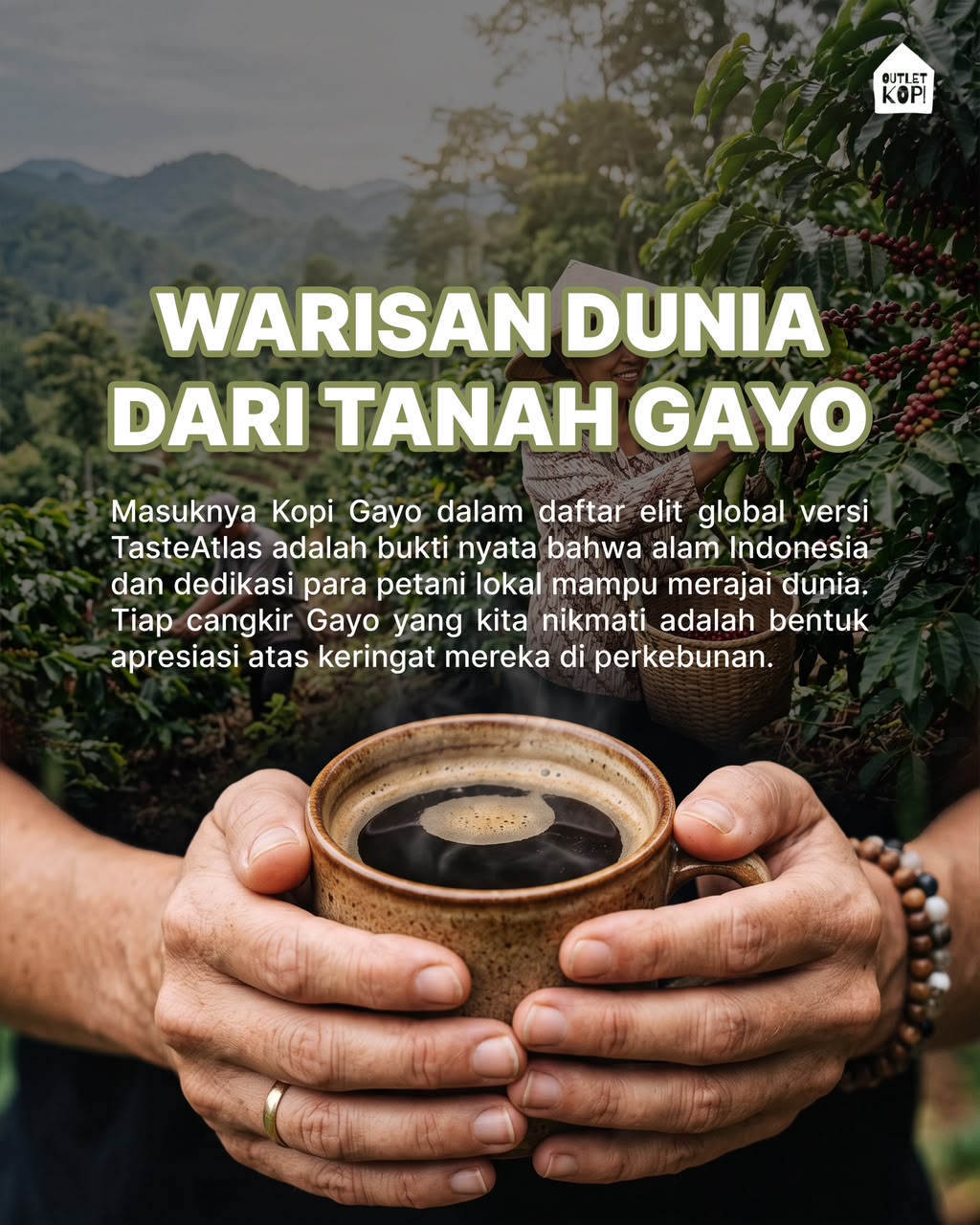 Kenapa Kopi Gayo Kami